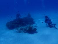 ダイビング 水中写真 薩南諸島 奄美大島　南部 嘉鉄オアシス